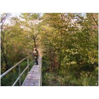 stair_003.jpg