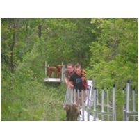 stair_009.jpg